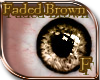 (E) Faded Brown Eyes 2