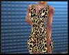 chaynie leopard dress rl