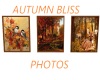 Autumn Bliss Photos