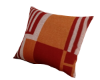 Throw Pillow | Luxury 1