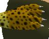 Cheetah Paws