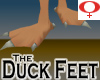 Duck Feet -Womens v1a