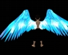 ailes turquoises