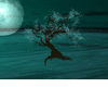 F| Dream Tree Aqua