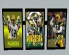 PACKERS Animated 3TV's