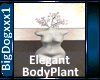 [BD]ElegantBodyPlant