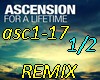 For a liftime-REMIX1/2