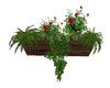 RED ROSE WALL PLANTER