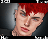 T l Ariton Crimson