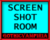 GV Blue ScreenShoot Room