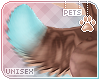 [Pets] Dexi | tail v4