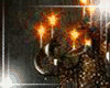 Dark eve Bundle
