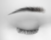 Natural EyesBrow♛