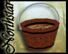 ~NS~ Runic Money bucket