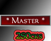 [2S] Master