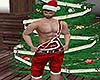 Sexy santa Claus outfit