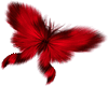 Butterfly Red Feathers