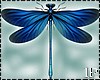 Blue Animated Dragon-Fly