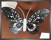 SL Black Butterfly Earri