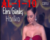 AL--1--10 EBRU GUNDES