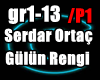 *C*Serdar Ortac /P1