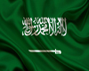 KSA FLAG