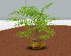 willow leaf