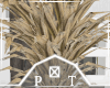 Fall Cornstalk