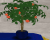 Tree Orange Blue Contain