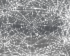 Monochrome Spiders