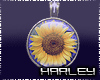 ! Sun Flower Necklace S