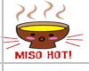 [H] Miso Hot