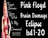 PF-Brain Damage