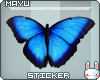 ~M~ Sky Butterfly