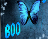 b00 box butterfly