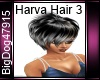 [BD] Harva Hair 3