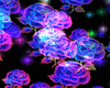 Roses,Stars Bundle