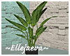 Modern Tall Leafy Plant