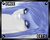 [Pets] Ferre | hair v1