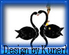 !(K) Black Swan animated
