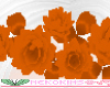 Flowers Orange