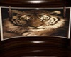 Tiger Room 2