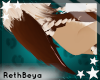 RH~ Gem ears4