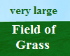 Huge Field of Grass