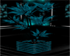 [DD] large teal plant