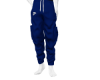 Royal Blu N!ke