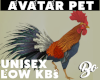 *BO AVI PET ROOSTER