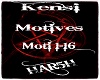 !H! Motives