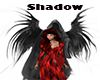 MLe Reaper Shadow
