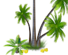 banana/tree/fruits